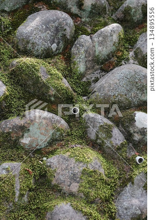 Emerald Moss Covered Ancient Weathered Stones 134895556