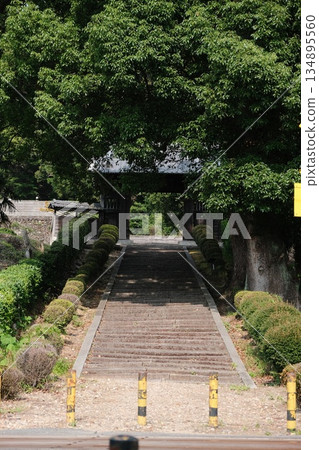 Green Garden Path Leading Towards Sunlight Green Garden Path Leading Towards Sunlight 134895560
