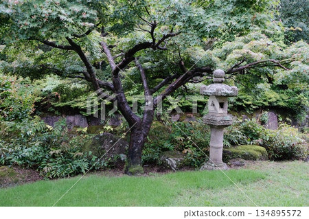 Serene Japanese Garden Stone Lantern Pathway Serene Japanese Garden Stone Lantern Pathway 134895572