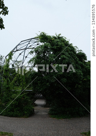 Green Vine Covered Garden Dome Structure Green Vine Covered Garden Dome Structure 134895576