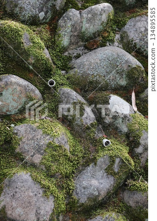 Moss Covered River Rocks Natural Texture 134895585