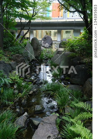 Cascading Water Feature Among Lush Ferns Cascading Water Feature Among Lush Ferns 134895603
