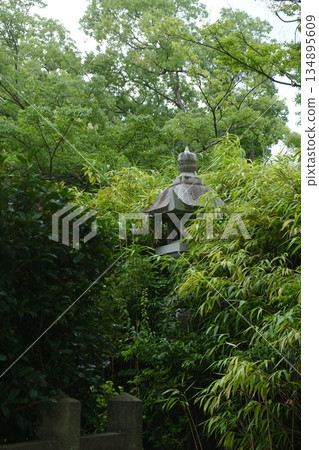 Ancient Stone Lantern Hidden Among Lush Foliage Ancient Stone Lantern Hidden Among Lush Foliage 134895609