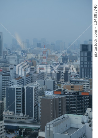 Dense Urban Skyline Above City Streets Dense Urban Skyline Above City Streets 134895740