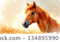 A cute horse illustration in a gentle hand-drawn style 134895990