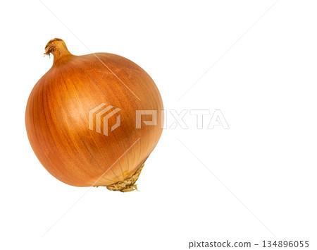 High-detail photo of common onion bulb isolated on white background with clipped path, no shadow, empty copy space for text. Blank for designing and creating artwork on culinary and vegetable topics High-detail photo of common onion bulb isolated on white background with clipped path, no shadow, empty copy space for text. Blank for designing and creating artwork on culinary and vegetable topics 134896055