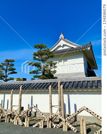 藍天下,裝飾著岡崎城瓷磚牆和大手門的竹工藝品(愛知縣岡崎市岡崎城公園) 藍天下,裝飾著岡崎城瓷磚牆和大手門的竹工藝品(愛知縣岡崎市岡崎城公園) 134896079