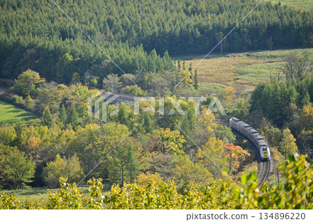 The Kiha 261 series express train "Ozora" climbs the autumn leaves of Karikachi Pass. 134896220