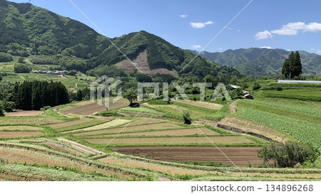 五月藍天下閃耀的栃木梯田（宮崎縣西臼杵郡高千穗町） 134896268