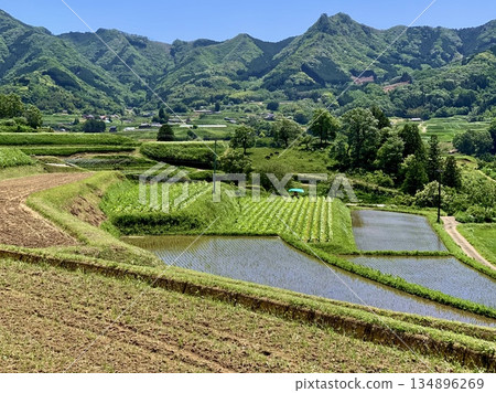 Tochimata rice terraces shining under the clear blue sky of May (Takachiho Town, Nishiusuki District, Miyazaki Prefecture) 134896269