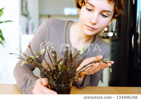 rooting cuttings of fruit trees rooting cuttings of fruit trees 134896286