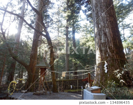 The grounds of Nikko Futarasan Shrine in Gunma Prefecture 134896435