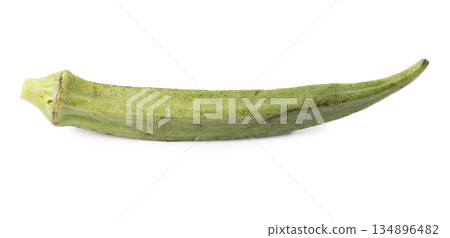 pod of okra, also known as lady finger or gumbo isolated on a white background pod of okra, also known as lady finger or gumbo isolated on a white background 134896482
