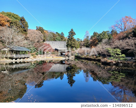 日本公園裡的池塘，以及倒映在水面上的自然景色 | 展現四季更迭的園林景觀 134896512