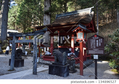 群馬縣日光二荒山神社的景色 134896527