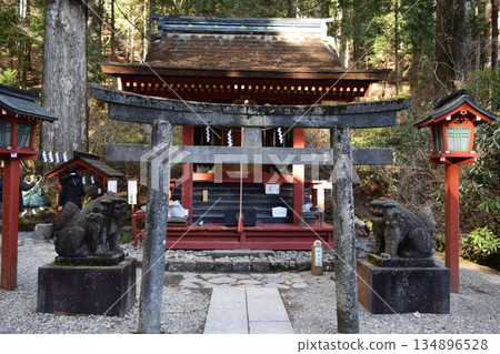 群馬縣日光二荒山神社的景色 134896528