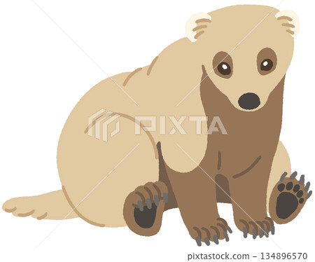 一隻坐著的獾的插圖 134896570
