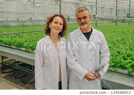 Science in action, Laboratory scene showcases controlled environment for research experiments, Industrial greenhouse setting highlights meticulous techniques for studying plant nutrition and growth 134896652