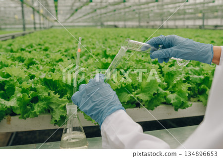 Precise nutrient evaluation, Researcher meticulously transfers solutions, Scientist carefully manages solutions during analysis, Accurate assessment of nutrients involves careful handling of solutions Precise nutrient evaluation, Researcher meticulously transfers solutions, Scientist carefully manages solutions during analysis, Accurate assessment of nutrients involves careful handling of solutions 134896653