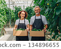 Greenhouse cucumber harvest, Couple displaying fresh cucumber harvest, Familyowned farm showcasing cucumber bounty together, Caucasian partners proudly pose with their cucumber harvest outside 134896655