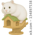 White Hamster Climbing on a Toy Treehouse 134897538