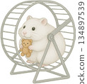 White Hamster Holding a Tiny Teddy Bear 134897539