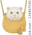 White Hamster in a Hanging Pouch 134897540