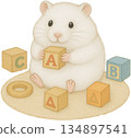 White Hamster Playing with Wooden Blocks 134897541