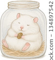White Hamster Sleeping in a Jar 134897542