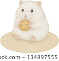 White Hamster Eating a Cookie on a Mat 134897555