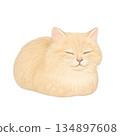Sleeping Loaf Cat (Pillow Loaf) 134897608