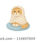 Cat Wrapped in Blanket 134897609