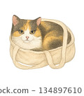 Cat Sleeping in a Tote Bag 134897610