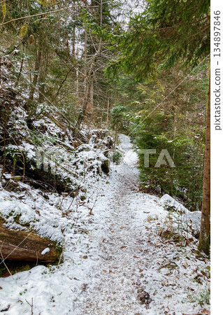 A frosty winter hike to Tomasovsky view, a stunning rock formation offering breathtaking vistas in Slovensky Raj National Park, Slovakia 134897846