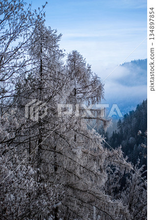 A frosty winter hike to Tomasovsky view, a stunning rock formation offering breathtaking vistas in Slovensky Raj National Park, Slovakia 134897854