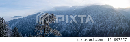 A frosty winter hike to Tomasovsky view, a stunning rock formation offering breathtaking vistas in Slovensky Raj National Park, Slovakia 134897857
