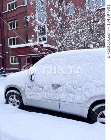 Snow covers parked cars and trees in a residential area during winter 134897901