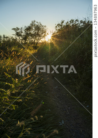 傍晚時分，田野和河床的景色 134897963