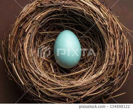 A light blue bird egg is nestled inside a brown circular nest made of dry grass. 134898122
