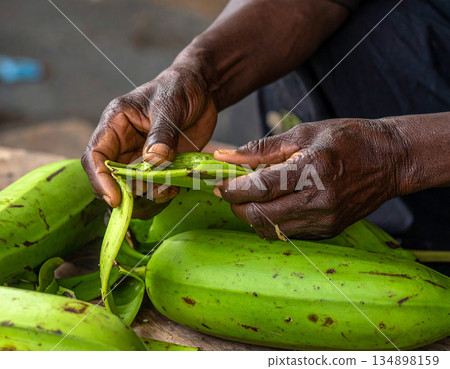 A close-up of a hand carefully peeling a large, green Matoke plantain before it is steamed. A close-up of a hand carefully peeling a large, green Matoke plantain before it is steamed. 134898159