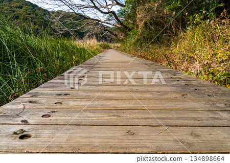 Tsurugaike Pond, Iwata City, Shizuoka Prefecture, December: Winter boardwalk 134898664