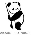Cute panda hand-drawn illustration "View" 134898828