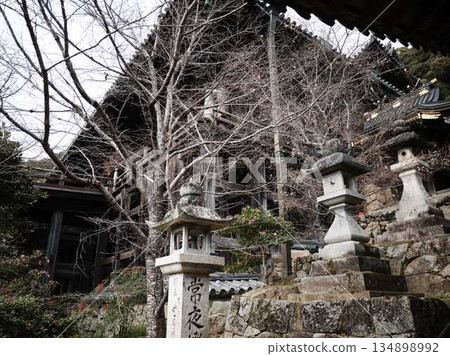 秋日的長谷寺 - 超過300座寺廟 134898992