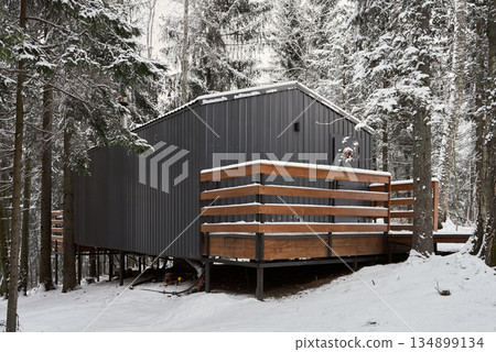 Tranquil elevated shelter surrounded by pines and birch trees Tranquil elevated shelter surrounded by pines and birch trees 134899134
