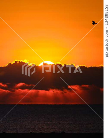 The rising sun 134899158