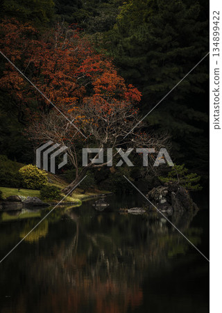 Autumn scenery of a Japanese garden, Rikugien Garden, Tokyo 134899422