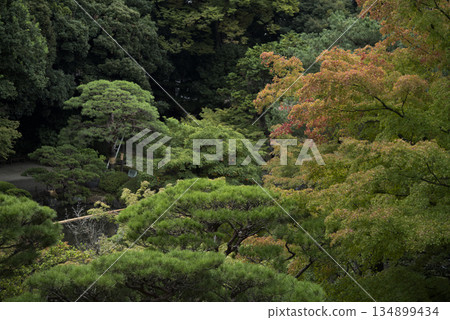 Autumn scenery of the Kyu-Furukawa Gardens 134899434