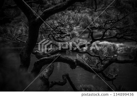 Autumn scenery of the Kyu-Furukawa Gardens Autumn scenery of the Kyu-Furukawa Gardens 134899436