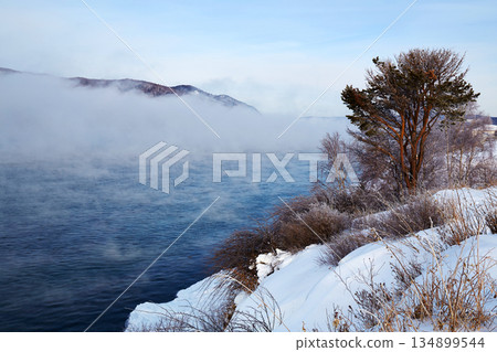Winter landscape. Fog over an unfrozen river, a pine tree on the shore 134899544