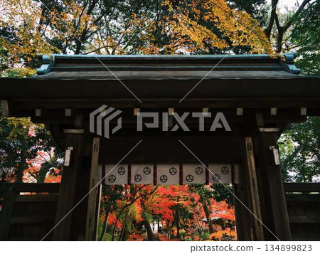 Nara Prefecture Autumn leaves Nara Prefecture Autumn leaves 134899823